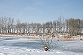 Teich an der FroschmÜhle im Winter